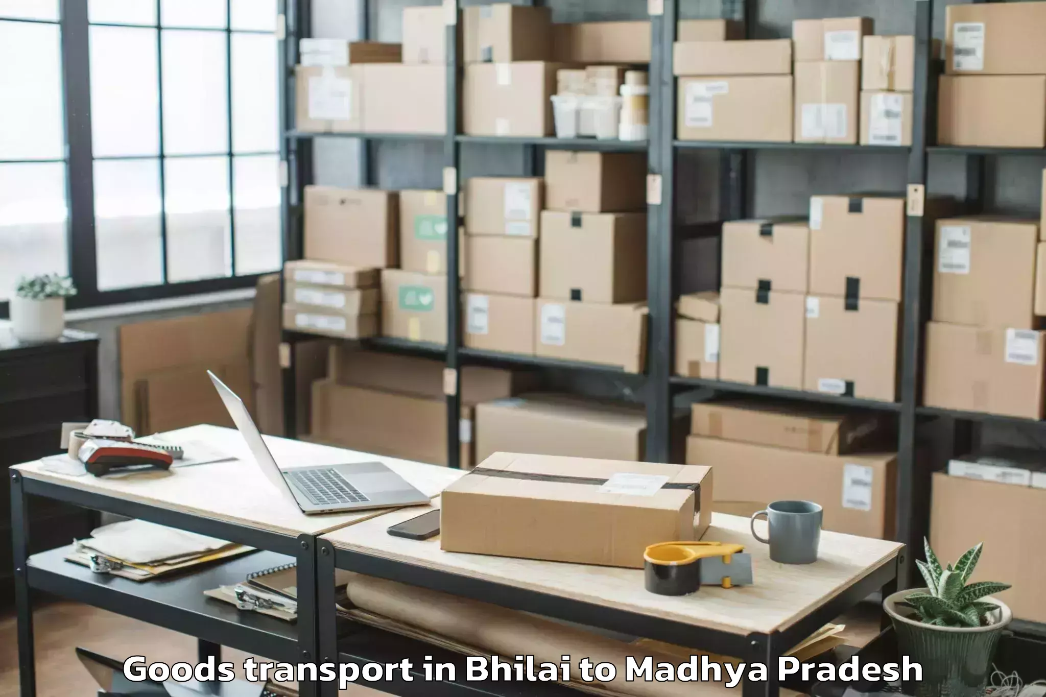 Book Bhilai to Punasa Goods Transport